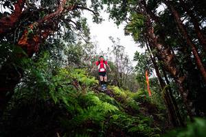 BIB: 
                            <button type="button" onclick="openModal(26203669)" class="btn btn-primary btn-sm float-right btn-popup" data-toggle="modal" data-target=".modal-high-quality">
                        <i class="fas fa-shopping-cart"></i> Add to Cart
                    </button>
                                            <button type="button" onclick="isThisMe(26203669, true)" class="btn btn-success btn-sm float-right btn-popup btn-isme hidden" data-toggle="tooltip" data-placement="bottom" title="นี่คือรูปของคุณใช่ไหม คลิกที่นี่เพื่อเอาเข้าอัลบั้ม">
                        <i class="fas fa-plus"></i> Add to album
                    </button>
                    <button type="button" onclick="isThisMe(26203669, false)" class="btn btn-warning btn-sm float-right btn-popup btn-isnotme hidden">
                        <i class="fas fa-ban"></i> Remove from album
                    </button>